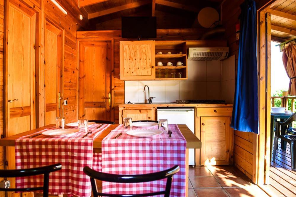 Hotel Camping El Pasqualet Caldes De Montbui Zewnętrze zdjęcie